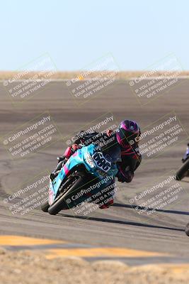 media/Jan-13-2024-SoCal Trackdays (Sat) [[9c032fe5aa]]/Bowl Exit Set 2 (1135am)/